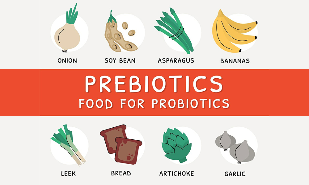 Prebiotics Food