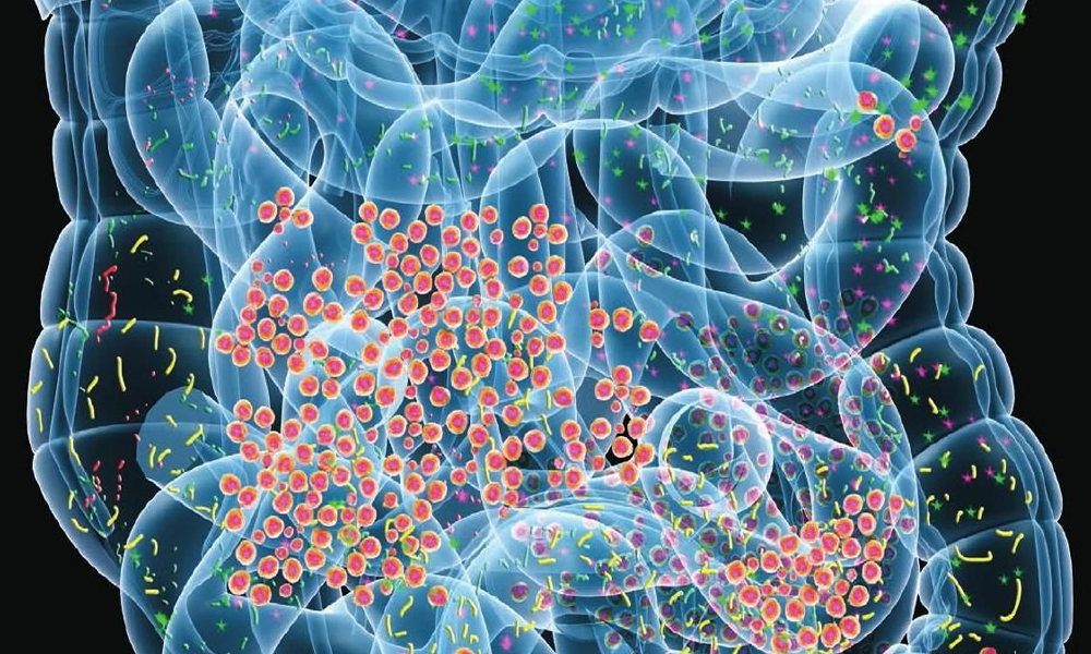intestinal flora